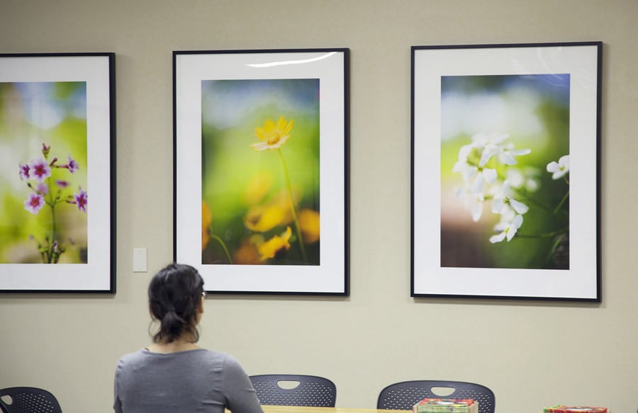 Installation of contemporary photographs